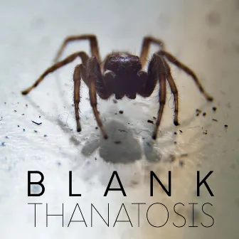 Thanatosis by Unknown Artist