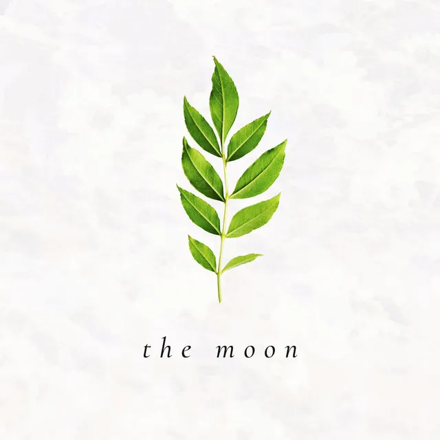 The Moon