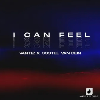 I Can Feel by Costel Van Dein