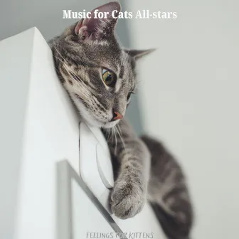 Feelings for Kittens by Music for Cats All-stars