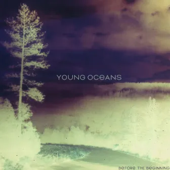 Before the Beginning (Instrumentals) by Young Oceans