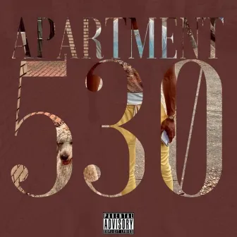 Apartment 530 by Ali Ra$had