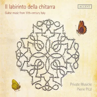 Il labirinto della chitarra by Private Musicke