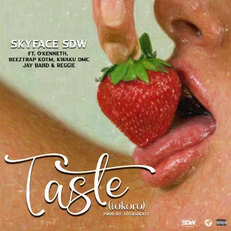 Taste (Tokoro) by Skyface SDW