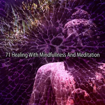 71 Healing With Mindfullness And Meditation by Source Vibrations