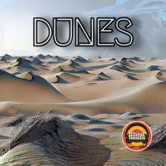 Dunes by Dhedbeats