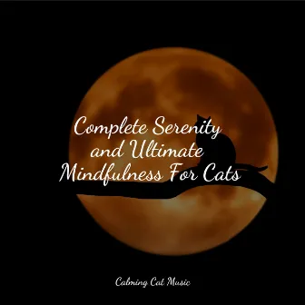 Complete Serenity and Ultimate Mindfulness For Cats by Music for Resting Cats