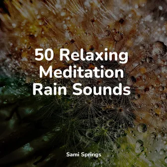 50 Relaxing Meditation Rain Sounds by Lightning