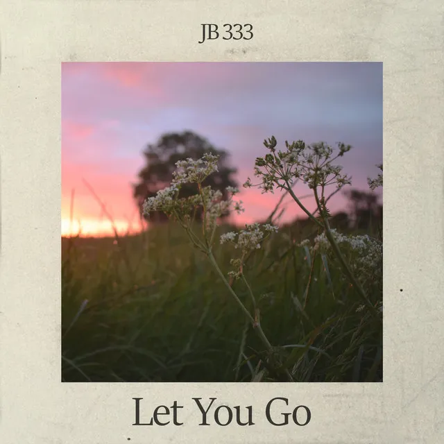 Let You Go