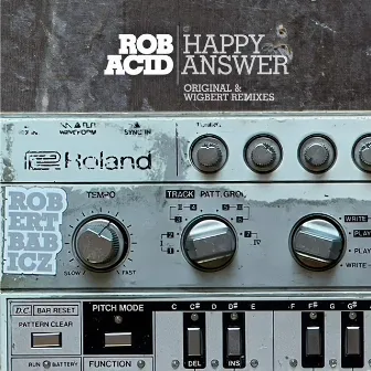 Happy Answer (Original & Wigbert Remixes) by Rob Acid