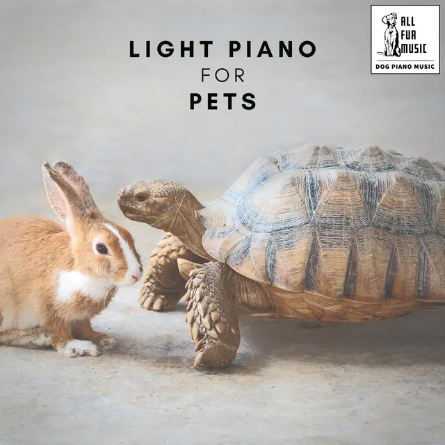 Light Piano for Pets