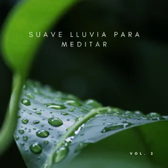 Suave Lluvia Para Meditar Vol. 2 by Tormenta Jamaicana