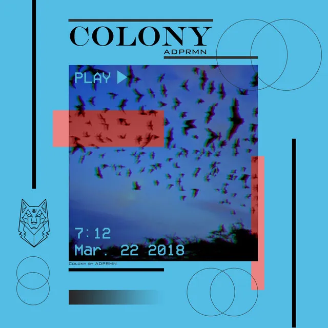 Colony