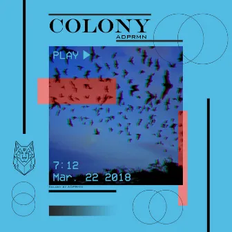 Colony (Live) by ADPRMN