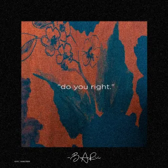 Do You Right by BARii