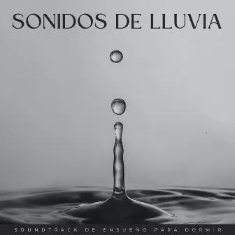 Sonidos De Lluvia: Soundtrack De Ensueño Para Dormir by La Academia de Música para el Sueño Profundo