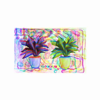 Potted Plants by Hutch