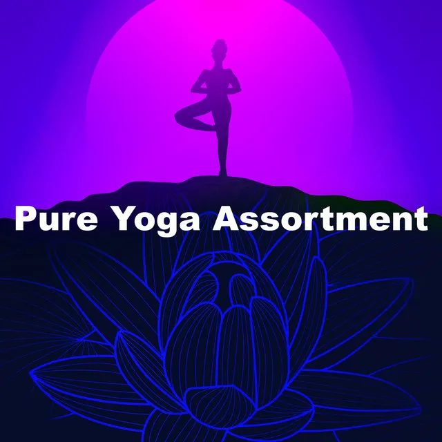 Pure Yoga Assortment