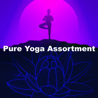 Pure Yoga Assortment by Kids Yoga Music Collection