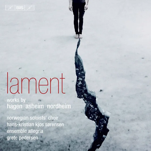 Lament: No. 3, Lament