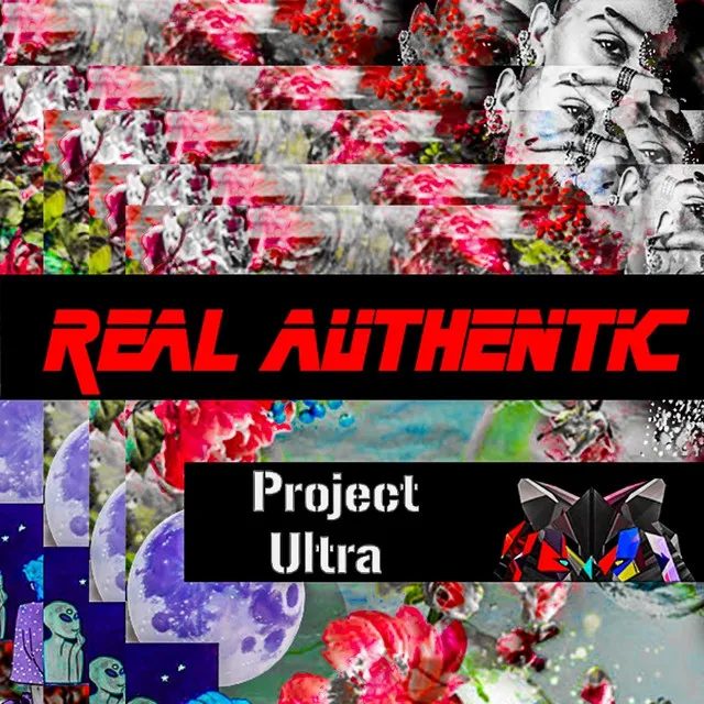 Project Ultra