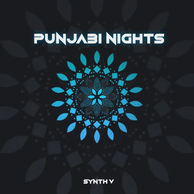 Punjabi Nights - Extended Mix