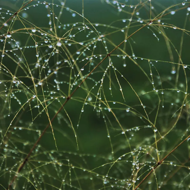 # 1 Nature Sounds for Sleep: Rain Sound