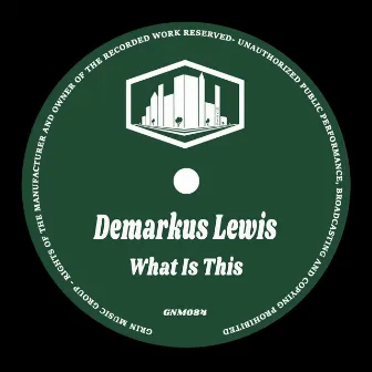 What Is This by Demarkus Lewis