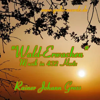 Wald-Erwachen - Entspannungsmusik in 432 Hertz by Rainer Johann Gross