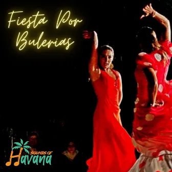 Fiesta por Bulerías by Sounds of Havana