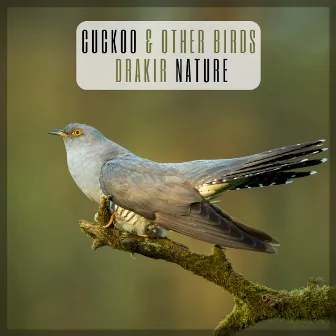 Cuckoo & Other Birds by Drakir Nature