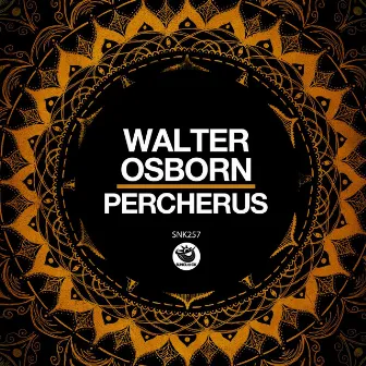 Percherus by Walter Osborn