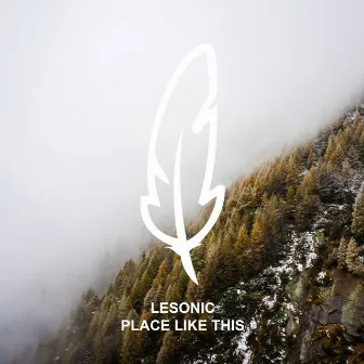 Place Like This by LeSonic