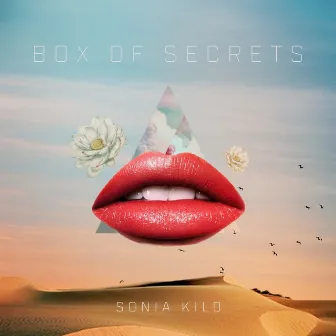 Box of Secrets by Sonia Kilo