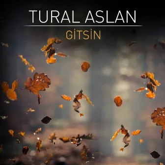 Gitsin by Tural Aslan