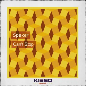 Can't Stop by Spaker