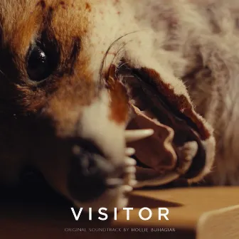 'Visitor' (Original Soundtrack) by Hollie Buhagiar