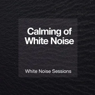 Calming of White Noise by White Noise Sessions