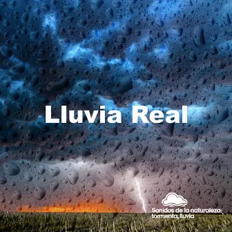 Lluvia Real by Sonidos de la naturaleza: tormenta, lluvia