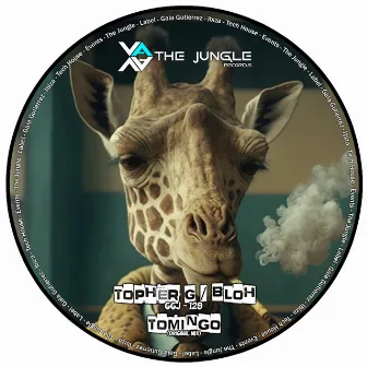 Tomingo (Original Mix) by Topher G