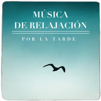 Música De Relalación Por La Tarde by Unknown Artist