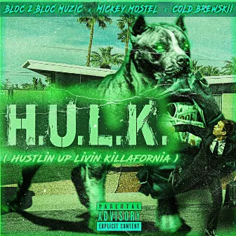 H.U.L.K. by Bloc 2 Bloc Muzic