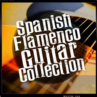 Spanish Flamenco Guitar Collection by Unknown Artist