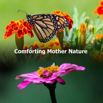 Comforting Mother Nature by Nature Sounds Conservatory