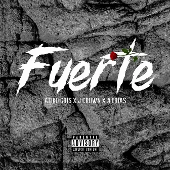 Fuerte by Átiko Gris