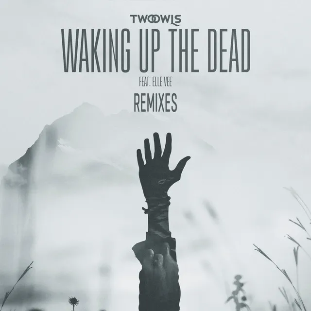 Waking Up The Dead - Fransis Derelle Remix