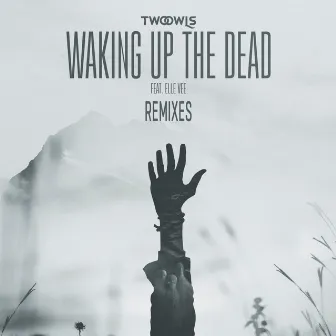 Waking Up The Dead (Remixes) by TWO OWLS