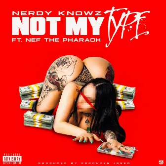 Not My Type (feat. Nef The Pharaoh) by Nerdy KnowZ