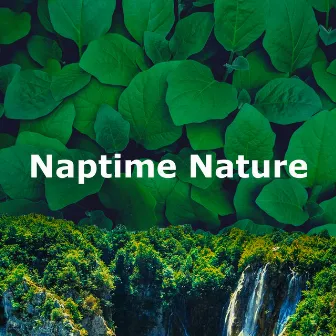 Naptime Nature by Sleep Crickets