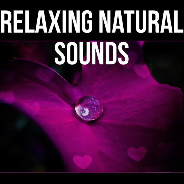 Relaxing Natural Sounds - Rainy Mood, Ocean Waves, Chill Out Walking Music, Stress Relief, Pure Music, Calmness